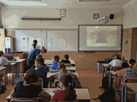 Szkolny projekt edukacyjny 