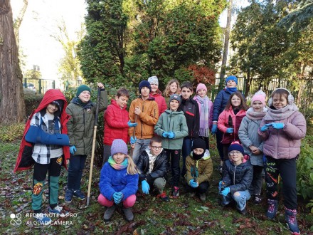 Z pamiętnika ogrodnika - sadzimy cebulki