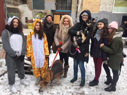 Dom dla psiaka – wolontariusze pomagają w adopcji zwierząt