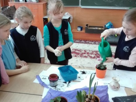 W oczekiwaniu na wiosnę