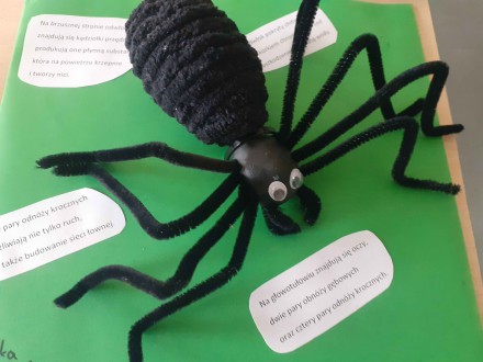 Modelowanie w biologii – stawonogi