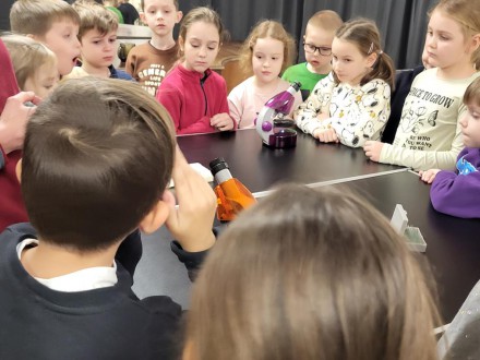 Ciekawostki z życia mrówek- klasa 1 b na warsztatach edukacyjnych w Centrum Młodzieży