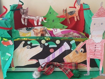 Zbiórka karmy dla zwierząt