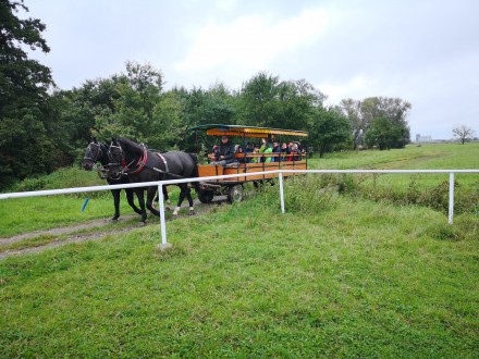 Wycieczka do Puszczy Niepołomickiej