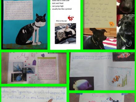 My petfriend, czyli moje zwierzątko to mój przyjaciel– projekt anglojęzyczny uczniów klasy 4 a