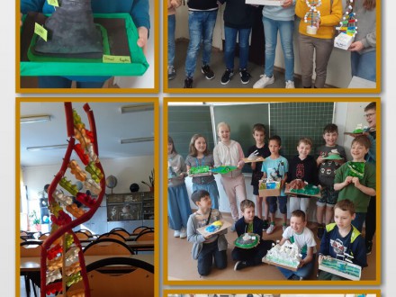 Projekt „Modelowanie w nauczaniu przyrody i biologii”