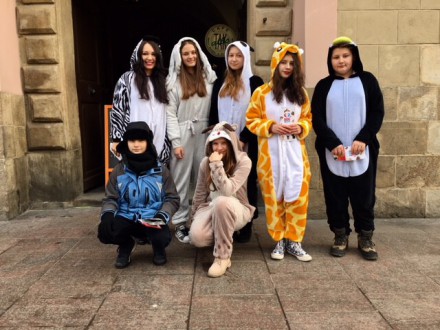 AKCJA ADOPCYJNA PSÓW