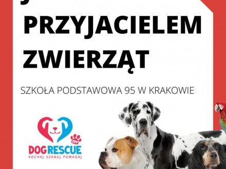 „Jestem przyjacielem zwierząt”
