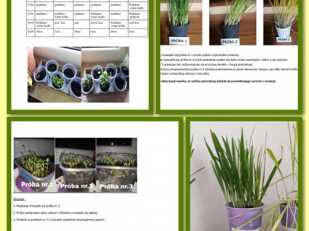 Projekt „Moja hodowla” w 3 c