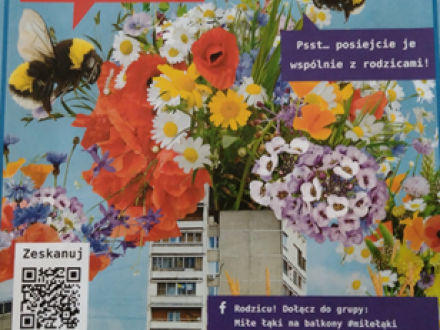 Miłe łąki na balkony