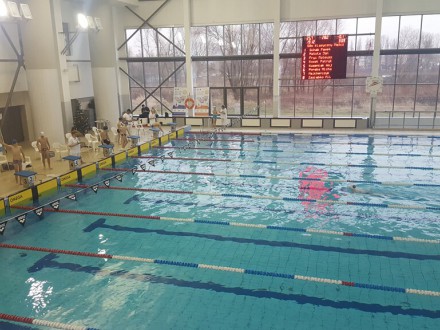 Mistrzostwa Krakowa Szkół Podstawowych w pływaniu 