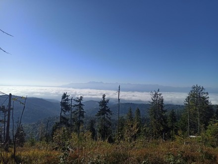 Wycieczka kl. 6e i 7a na Turbacz