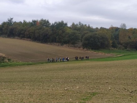 Gra terenowa na Ranczu Artemidy