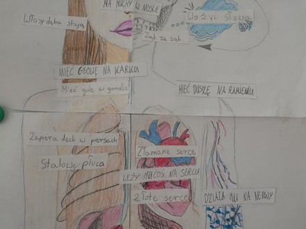 Frazeologia pod skórą - projekt klasy 6d