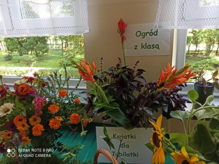 Z pamiętnika ogrodnika – wystawa zbiorów ze szkolnego ogródka