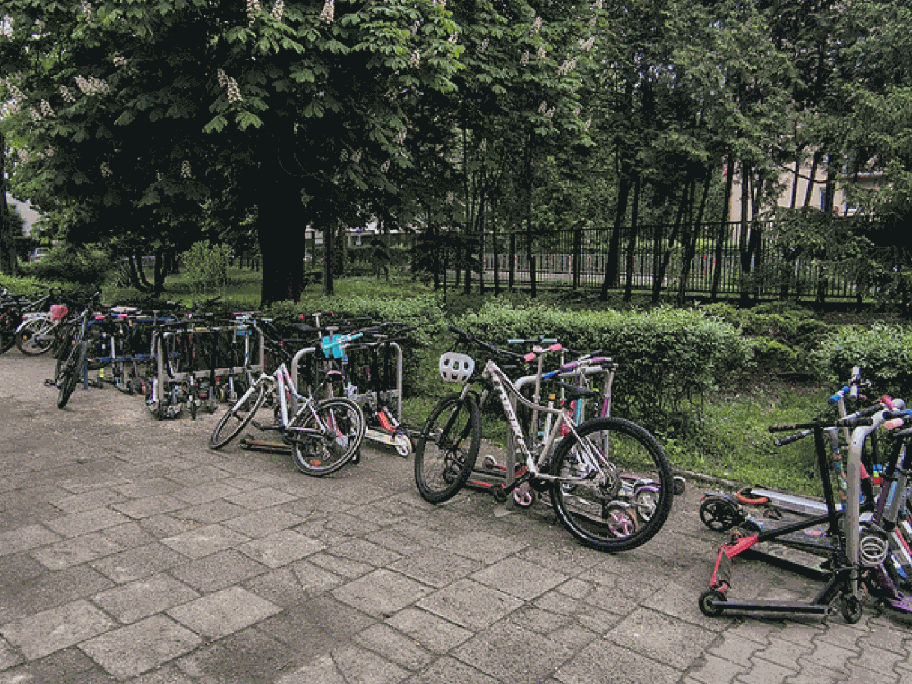 Aktywnie do szkoły- ogólnopolska kampania Rowerowy Maj