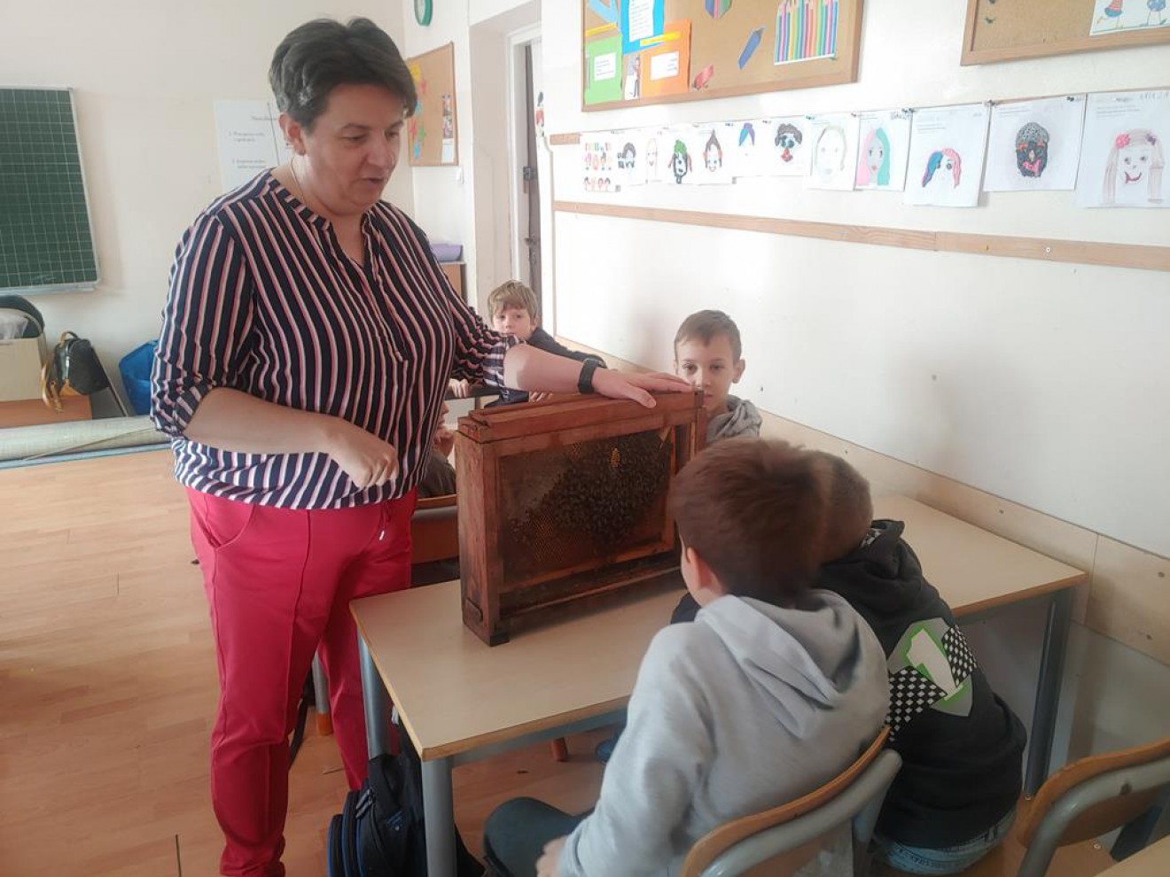 Edukacja ekologiczna- dzikie pszczoły