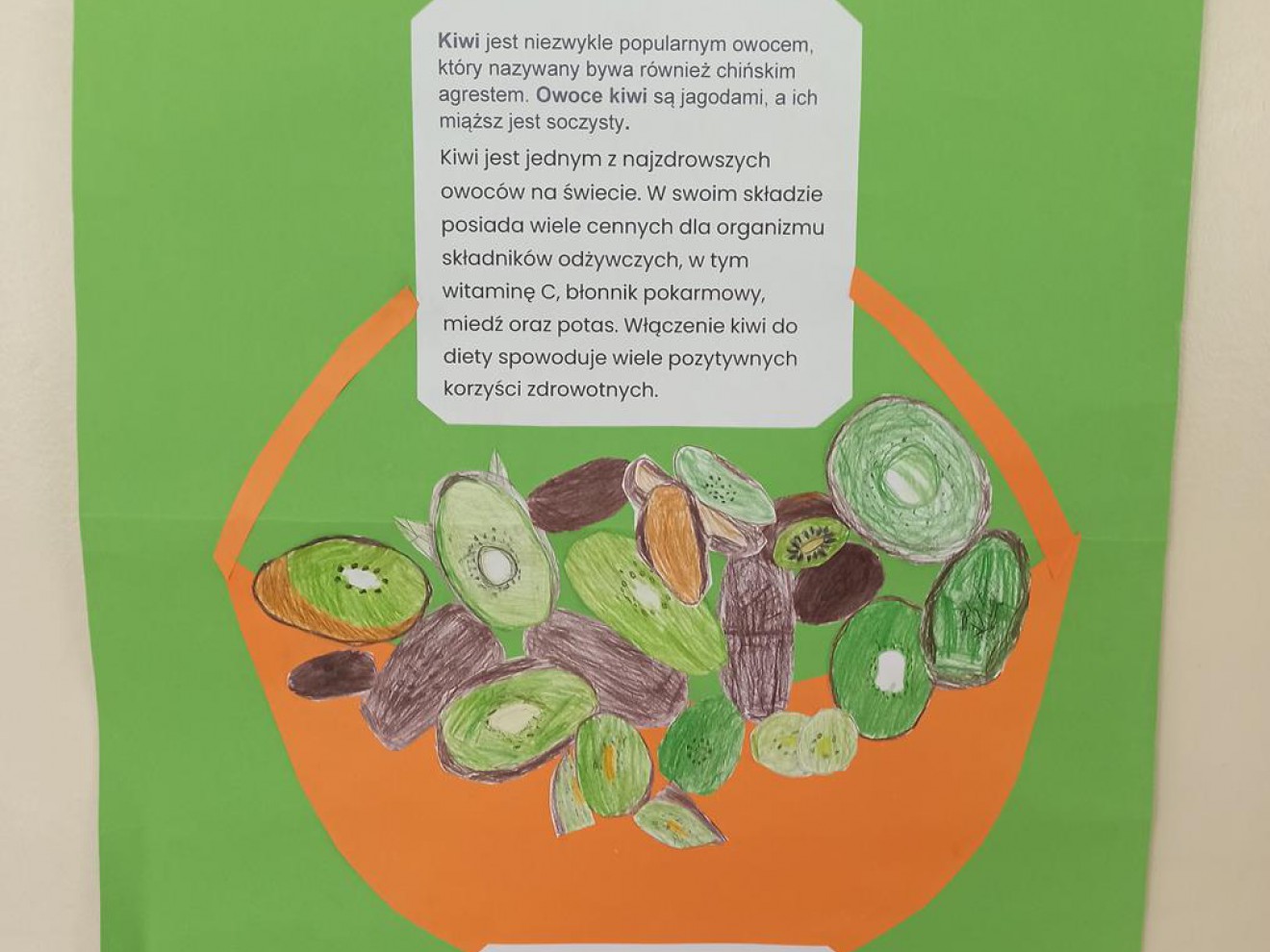 Festiwal Zdrowia 2024