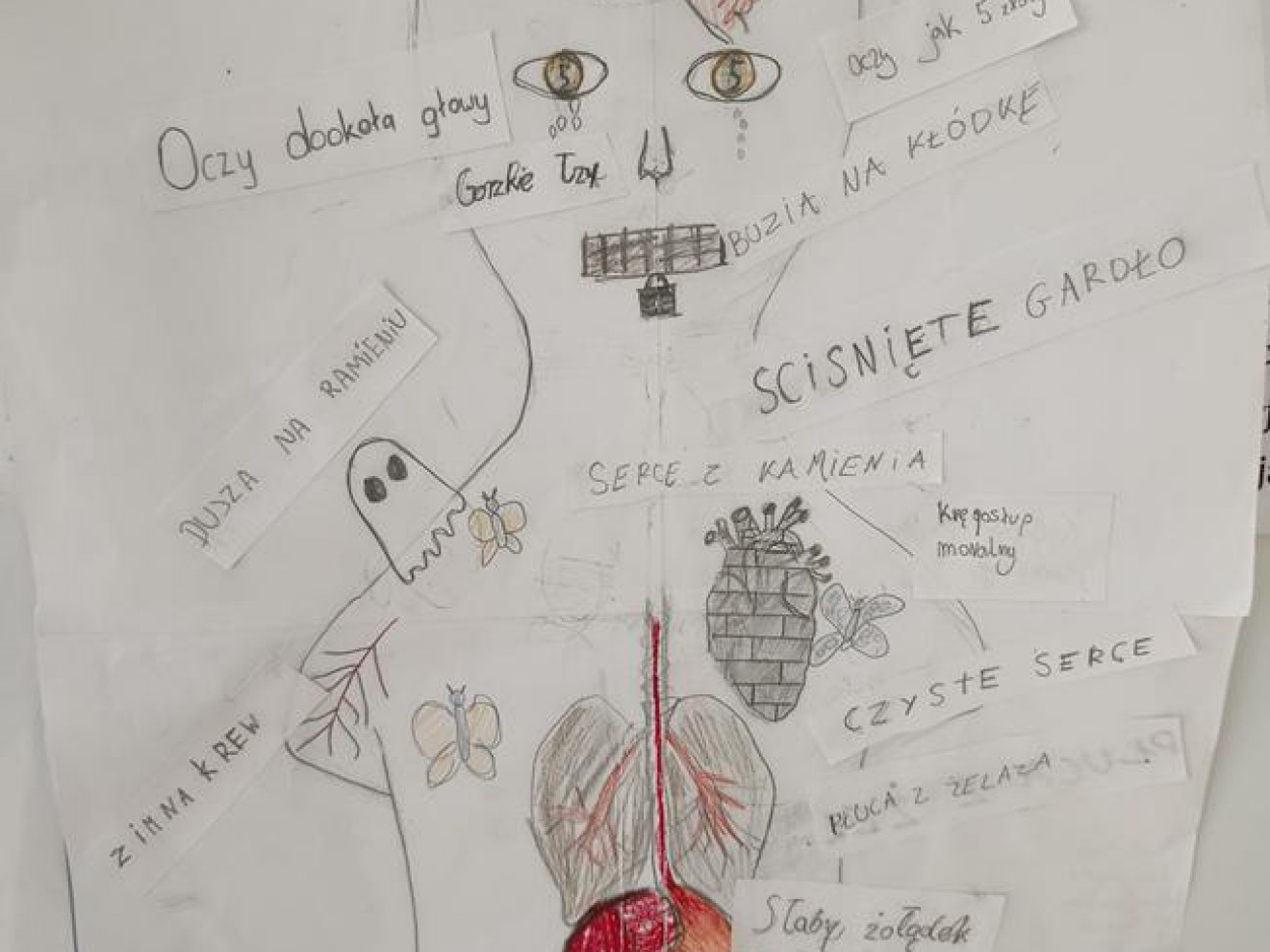 Frazeologia pod skórą - projekty klasy 6d