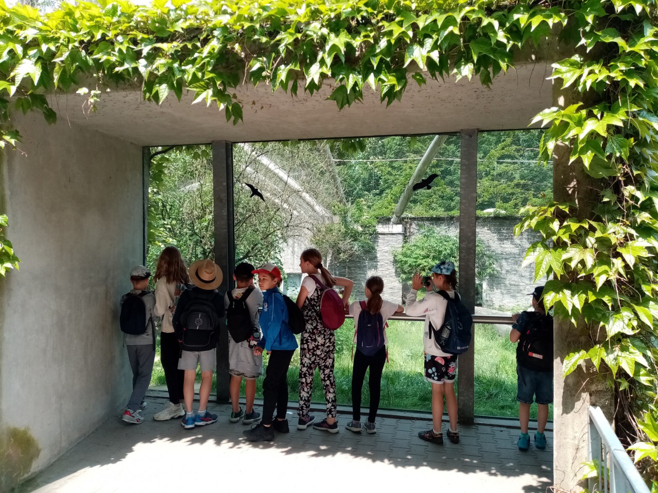 Klasa 4a w Ogrodzie Zoologicznym