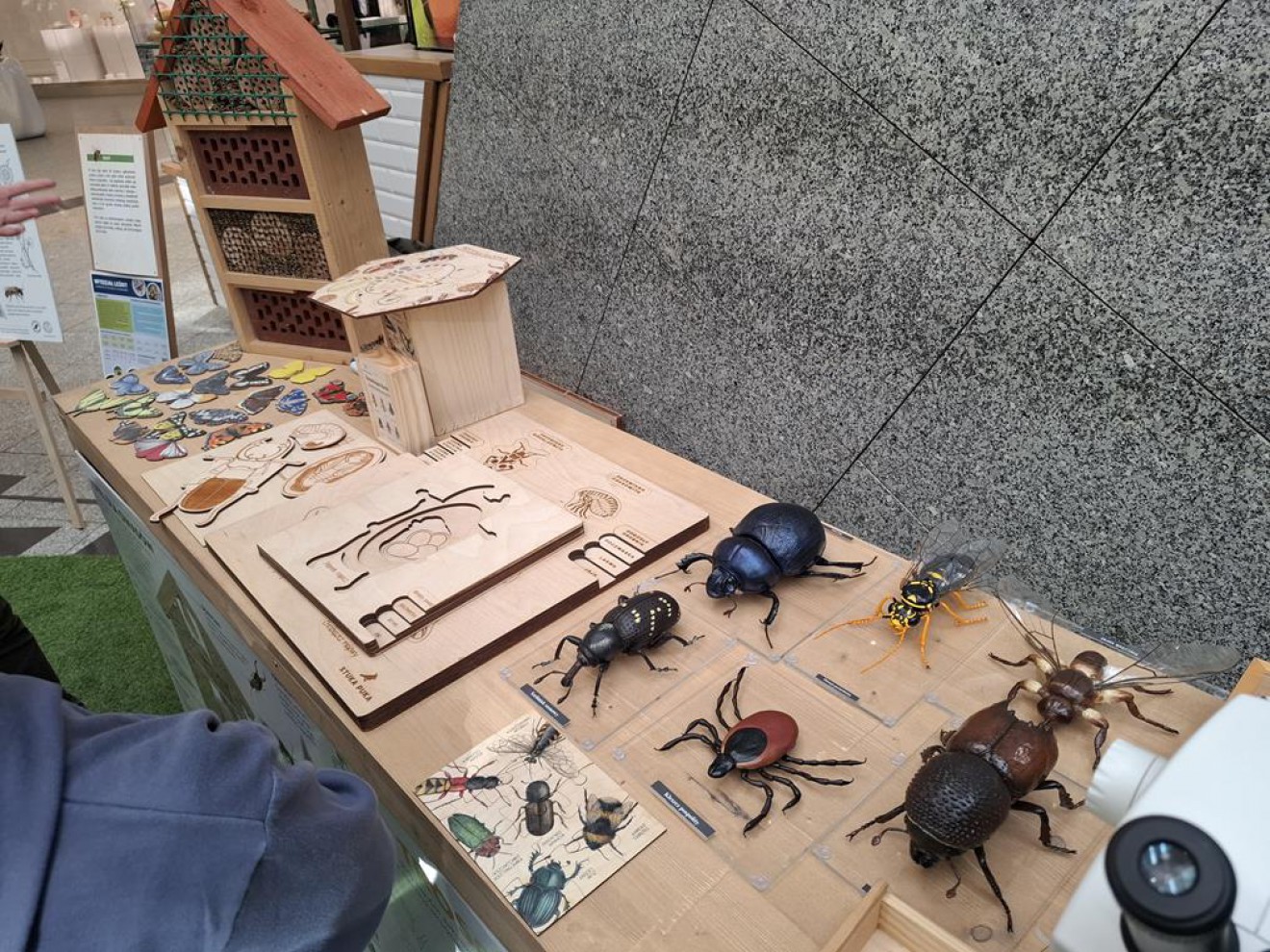 Klasa 4b na warsztatach przyrodniczych