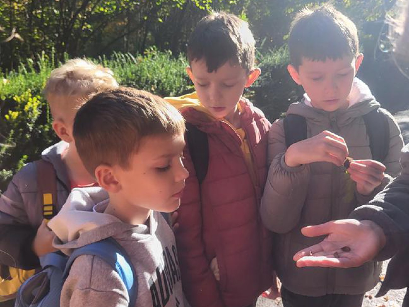 Klasy 2 w Ogrodzie Botanicznym