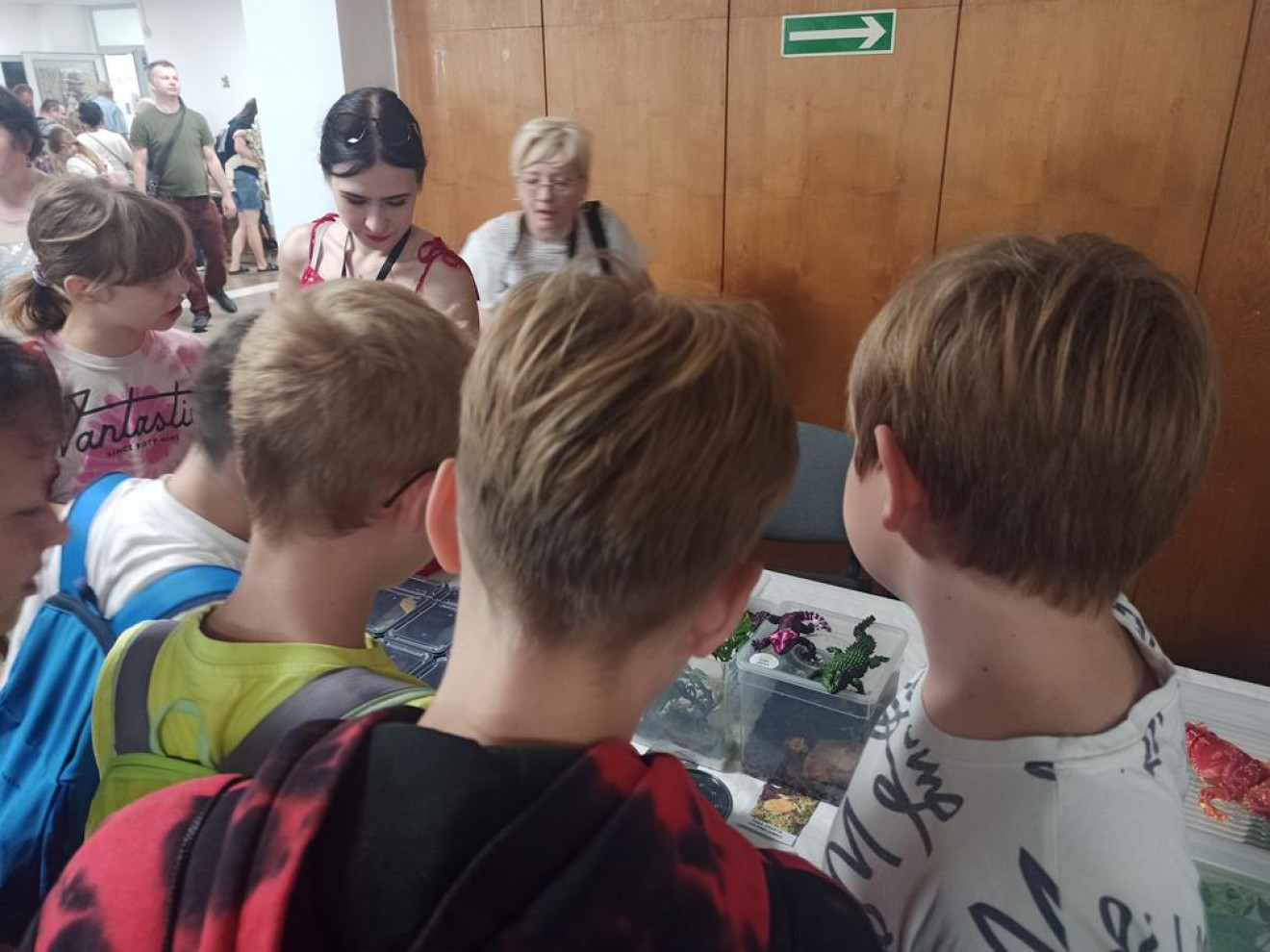 „Owady piękne i różnorodne”