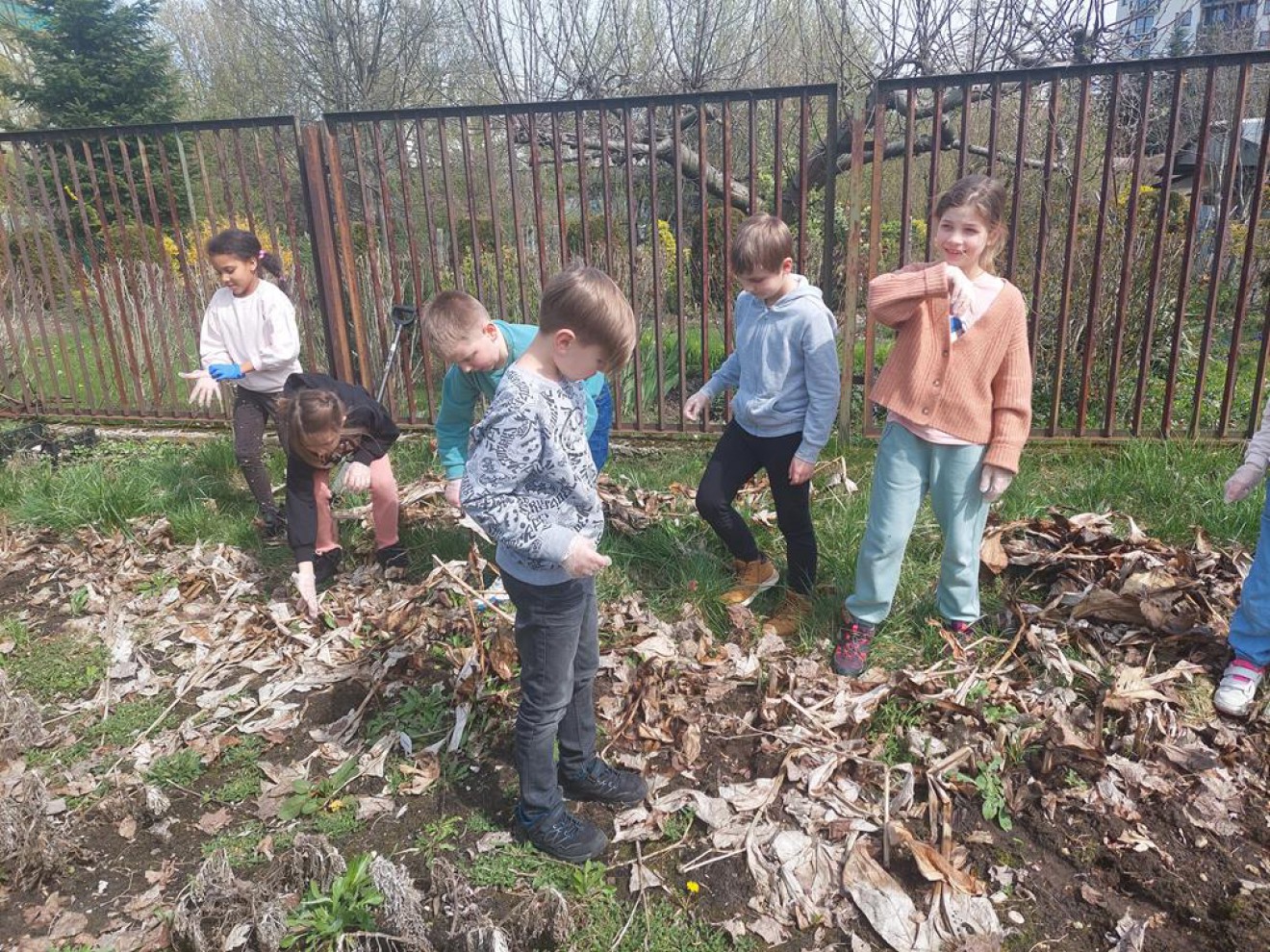 Wiosenne prace w ogródku