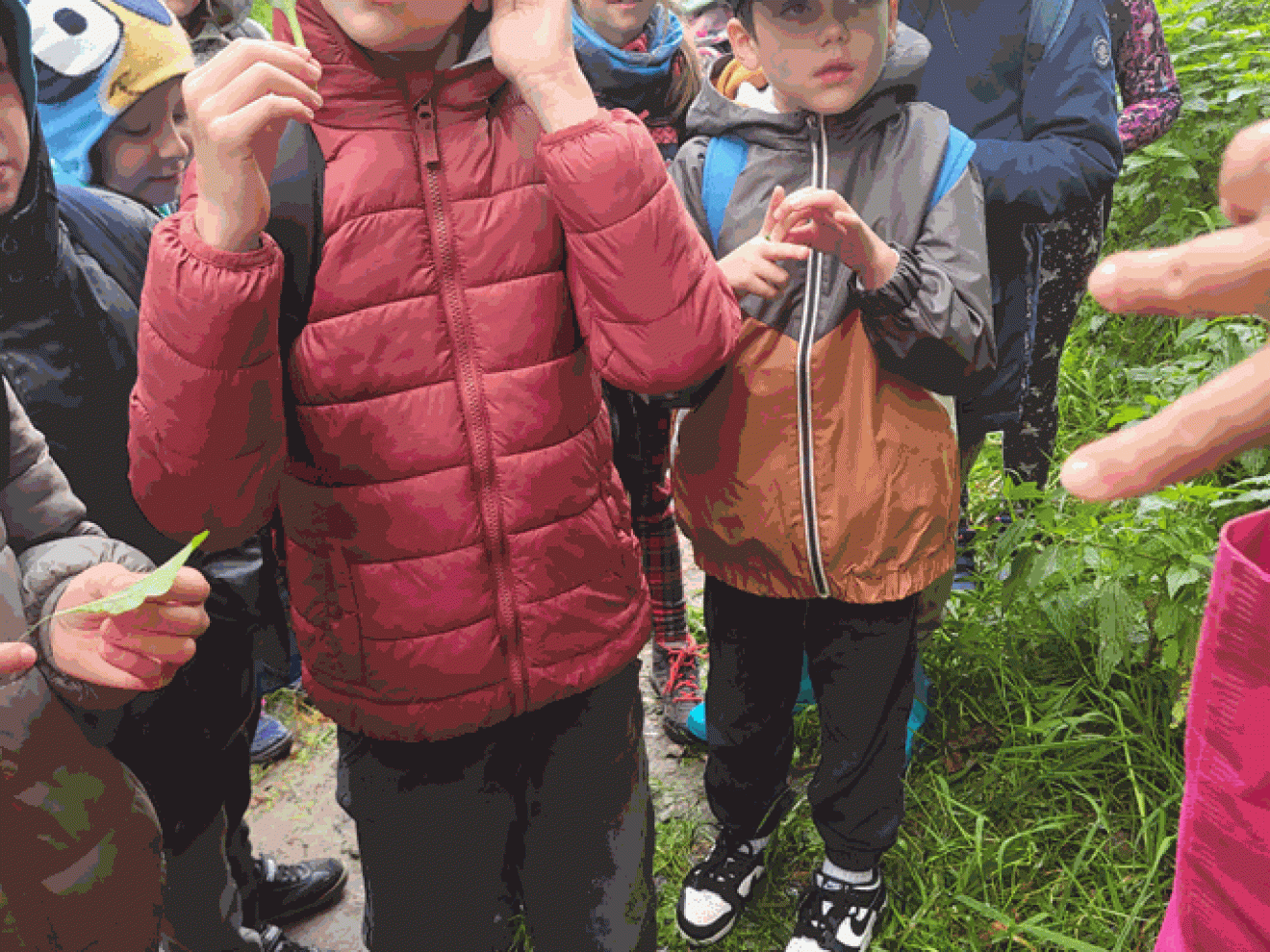 Wycieczka klasy 2b do lasu