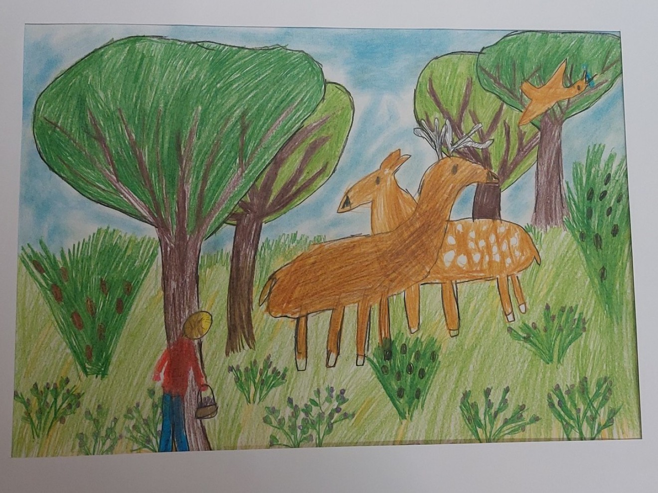 „ Życie lasu ” - w pracach uczniów kl. 3b