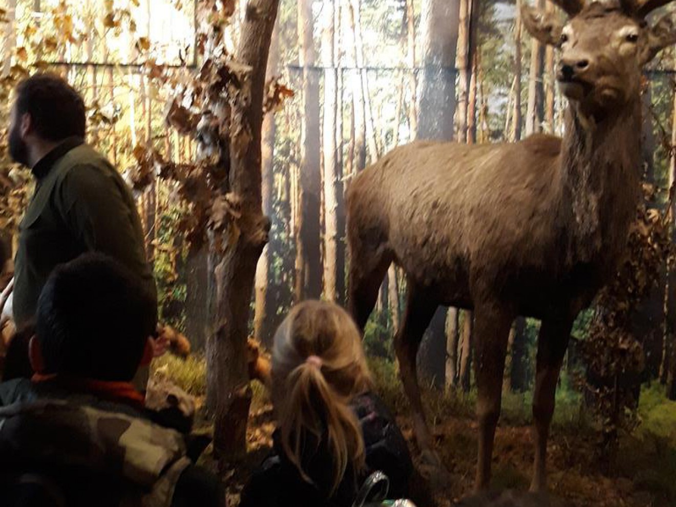 Wycieczka klasy 2 d i 2 e do Puszczy Niepołomickiej