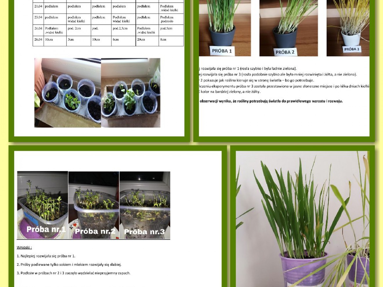 Projekt „Moja hodowla” w 3c