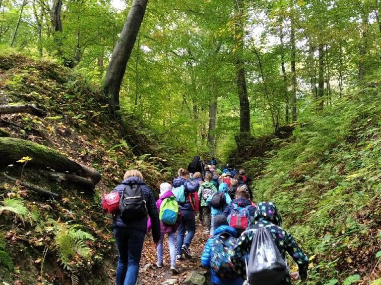 Wycieczka do Lasku Wolskiego