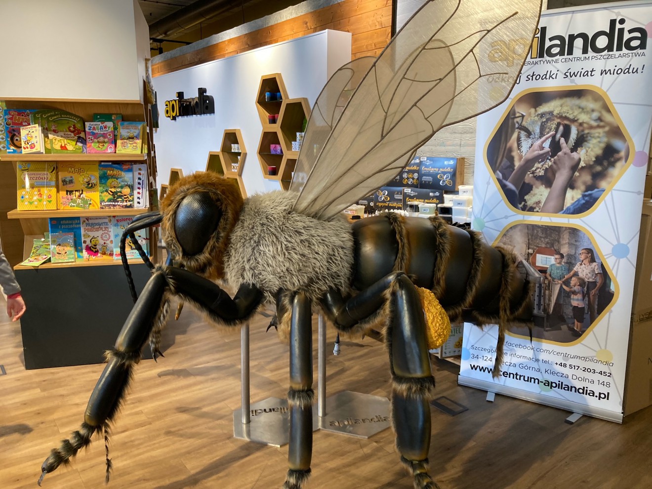 Wycieczka klasy 3a do Apilandii