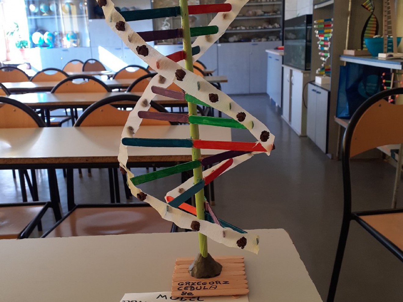 Projekt „Modelowanie w nauczaniu przyrody i biologii”