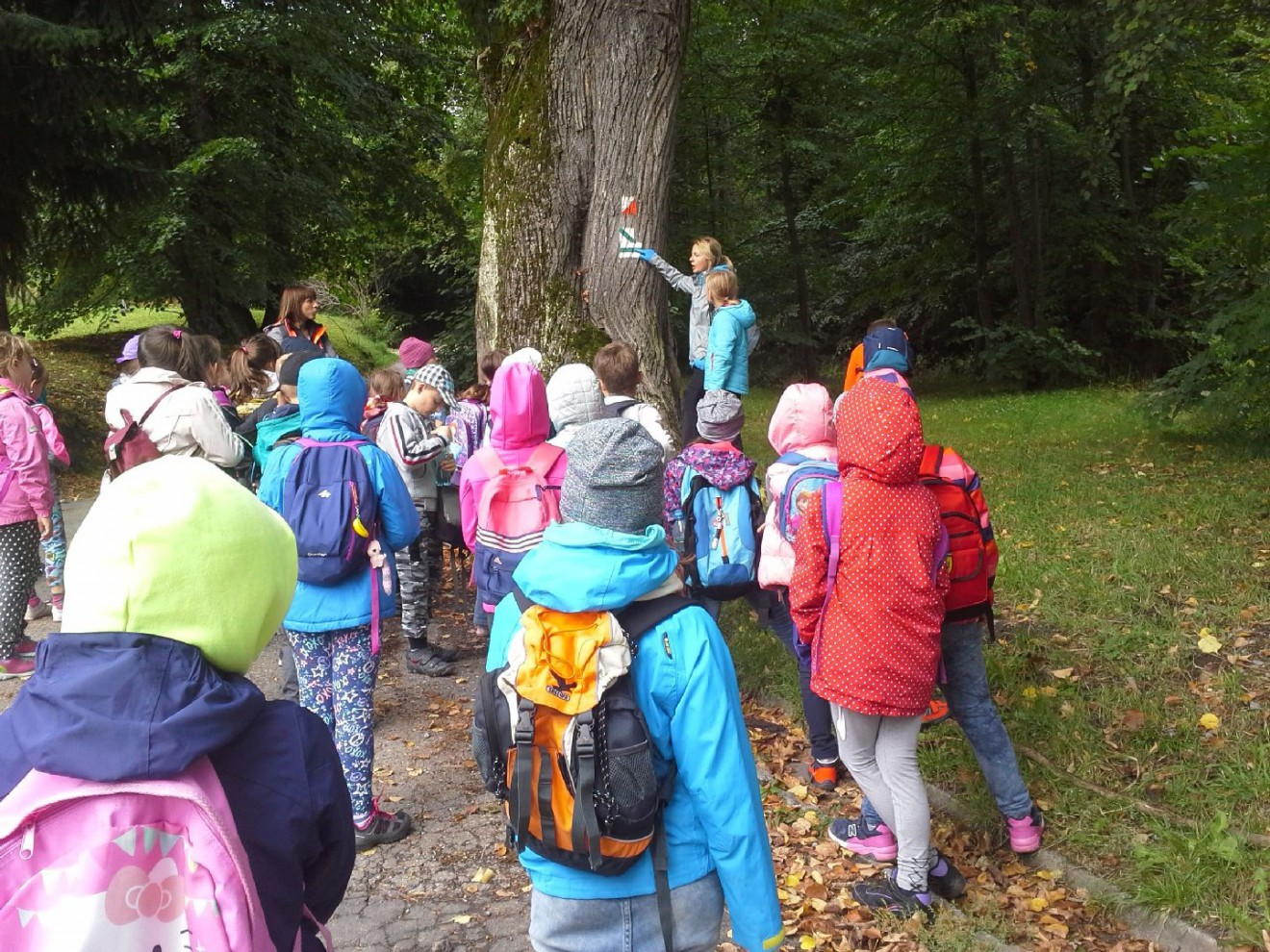 zielona szkola w porebie wielkiej