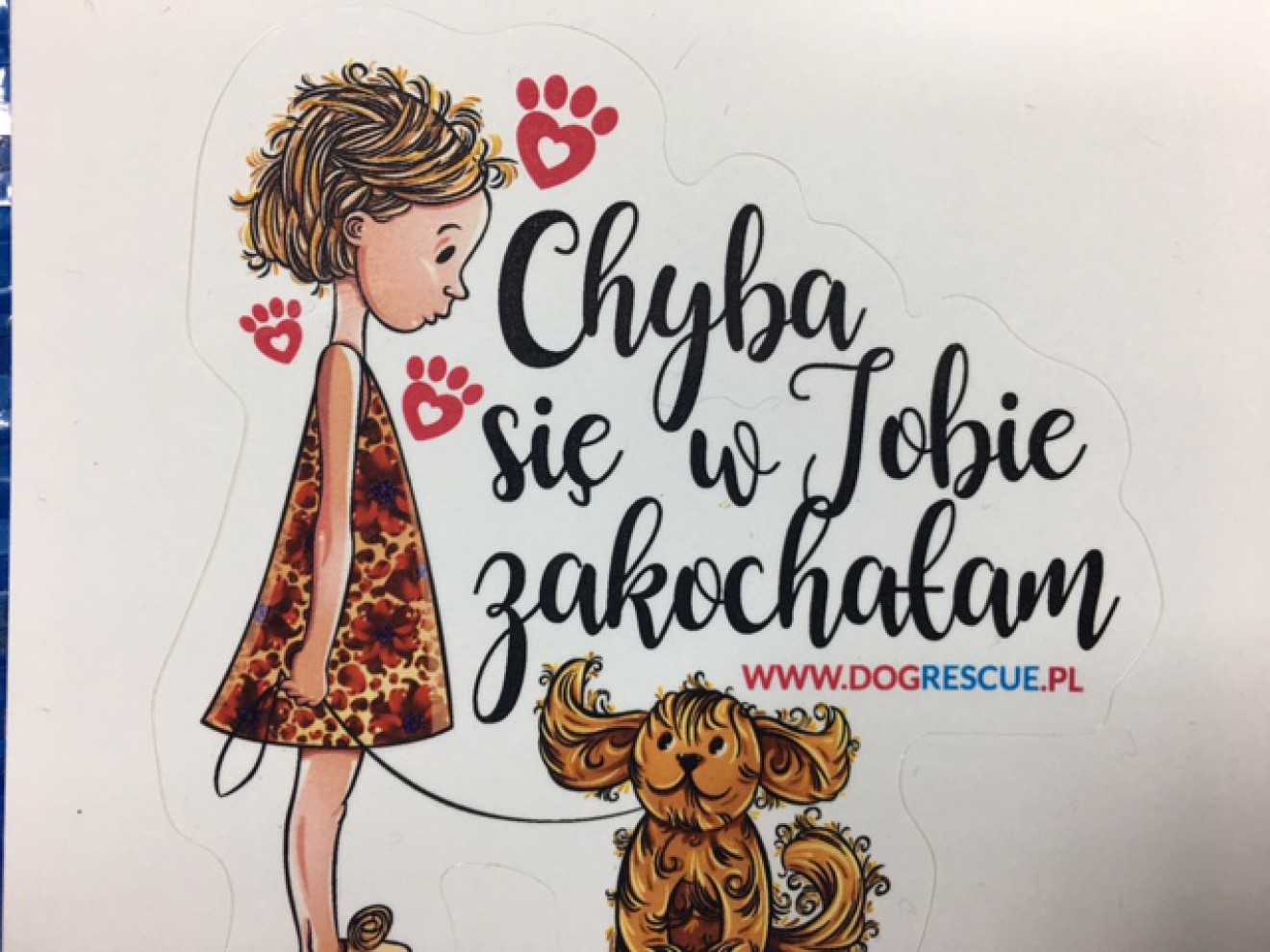 Wolontariusze SP nr 95 w służbie dla Dog Rescue