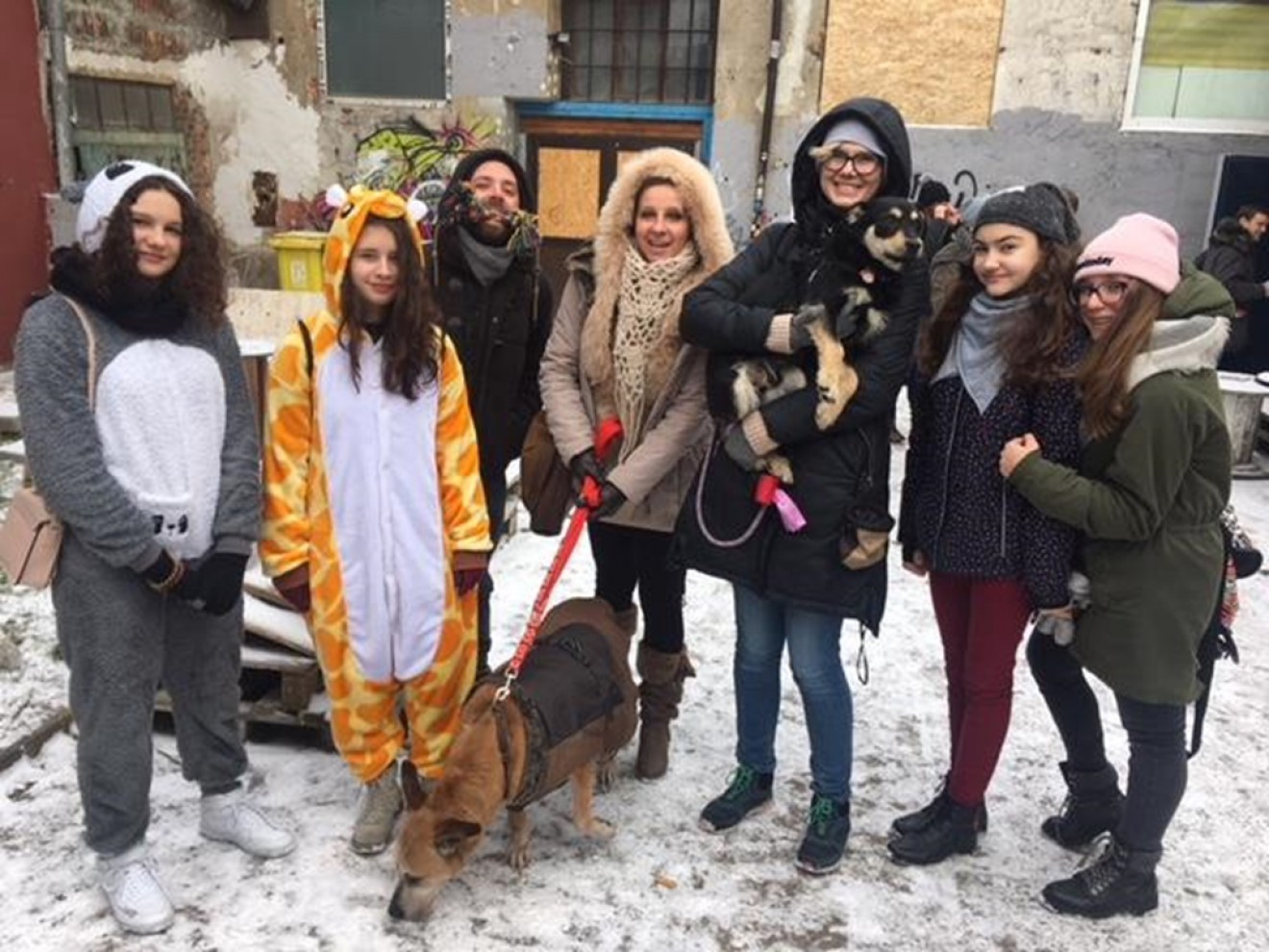 Dom dla psiaka – wolontariusze pomagają w adopcji zwierząt