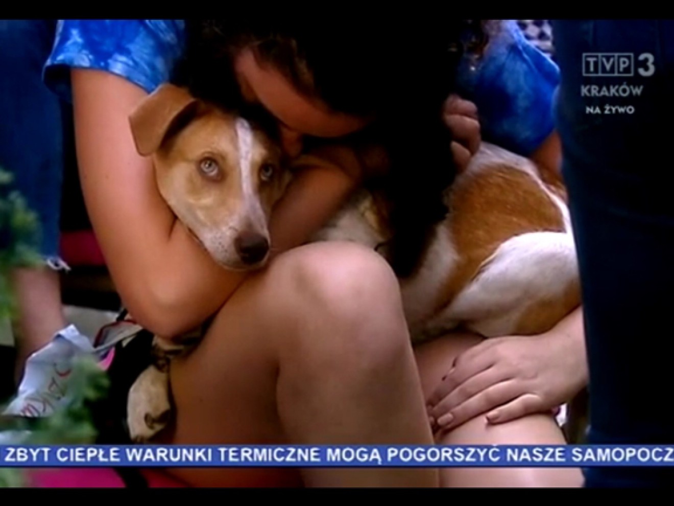 Bonobo – warsztaty z adopcją w tle