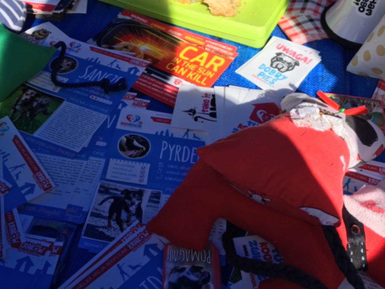 Wolontariusze na rzecz Dog Rescue