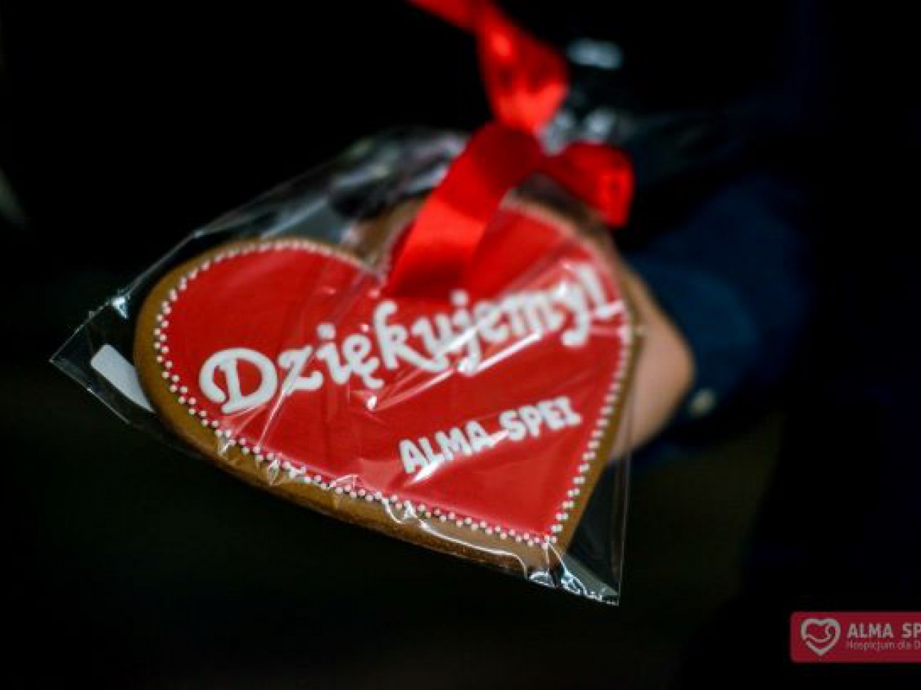 Alma Spei – czyli życie na 200 procent!   Świętujemy 10- lecie istnienia Hospicjum dla Dzieci